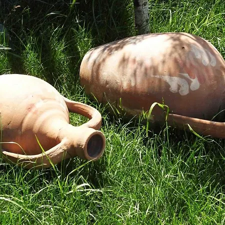 Nocleg ze śniadaniem Kuecuekkoey Otel *